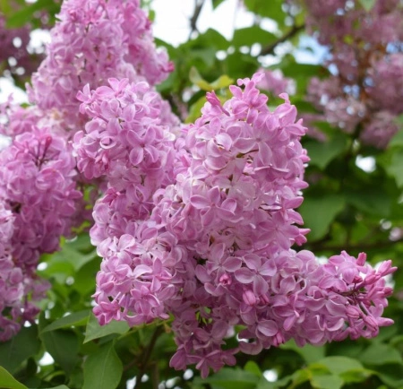 47a309d1-326c-11f0-8918-246e9611e8f6-1