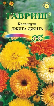 f890c919-c60d-11de-87ad-0019dbe91ea3-1