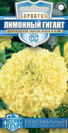 3391bef3-a2c9-11e8-9ac1-005056c00008-1