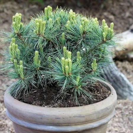 eaa55400-e684-11ee-890a-246e9611e8f5-1