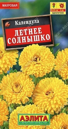 8e0ef36b-0b36-11ec-a8a4-005056c00008-1