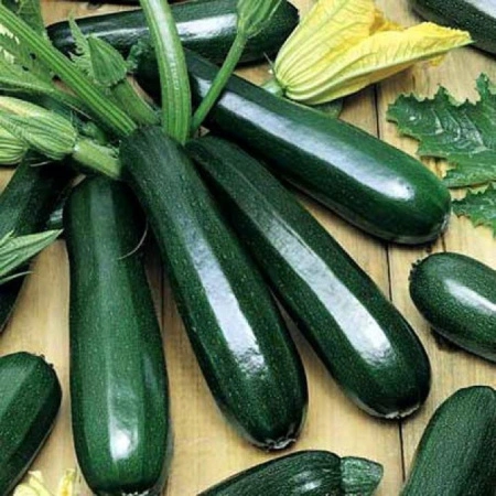 89e2968f-8367-11ec-8510-005056c00008-1