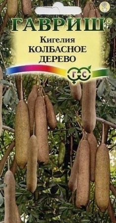 9a96564b-59d7-11e0-b405-00500454e615-2