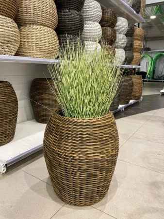 f600cce8-ea66-11ee-890b-246e9611e8f5-1 f600cce8-ea66-11ee-890b-246e9611e8f5-1