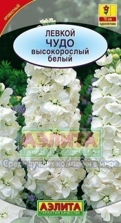 6e1986ff-4db4-11e3-8a92-00500454e615-2