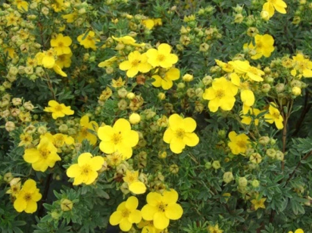 3d69066f-a340-11eb-93b3-005056c00008-1