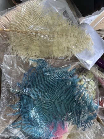 066cdbe8-9cfe-11ef-8912-246e9611e8f7-1