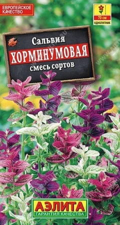 9b4cff6d-dcea-11dd-9138-00500454e615-1