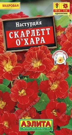 e201aca9-c9f9-11de-87b1-0019dbe91ea3-1