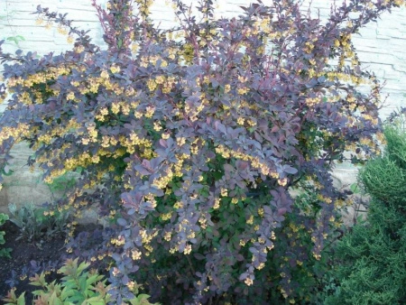 6830de58-349a-11f0-8918-246e9611e8f6-1