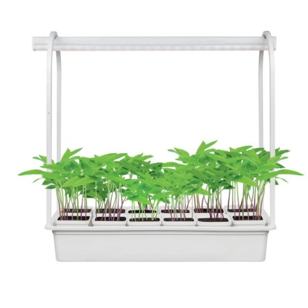 37d1f590-761a-11ed-be6f-001e673ebdea-1