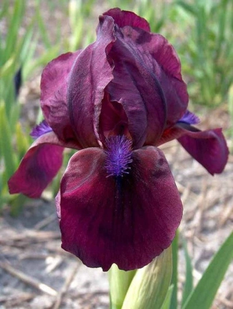 342c4b6f-eccd-11ee-890b-246e9611e8f5-1