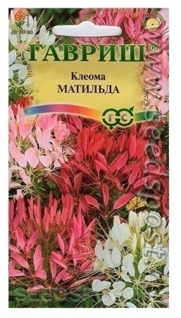 ea8a483c-f6eb-11e7-b46d-005056c00008-2