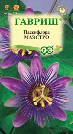 8f4bc7e4-dcea-11dd-9138-00500454e615-1