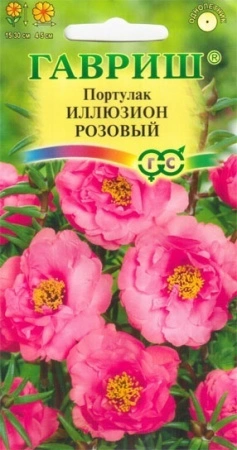 6e79e12f-0acb-11e2-9c64-00500454e615-1