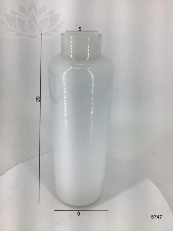 c8c8aee1-5a71-11f0-891b-246e9611e8f7-1