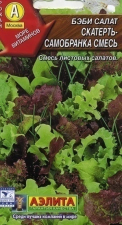 c2beb66a-0aab-11e2-9c64-00500454e615-2