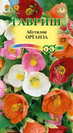 0bece94f-2946-11e0-9fb4-00500454e615-1