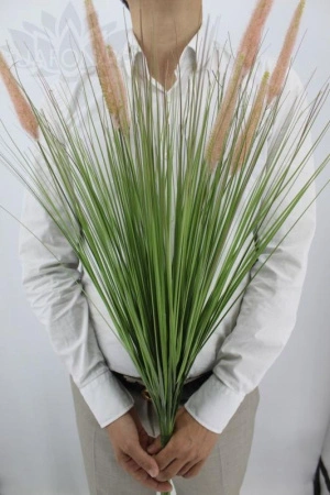 c0330973-5a62-11f0-891b-246e9611e8f7-1