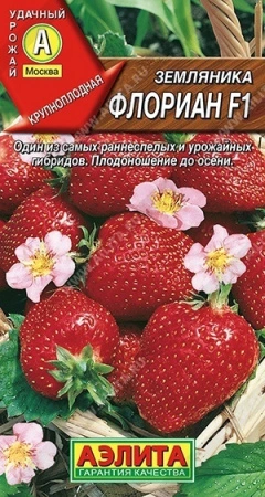 7d524c7f-dcea-11dd-9138-00500454e615-1