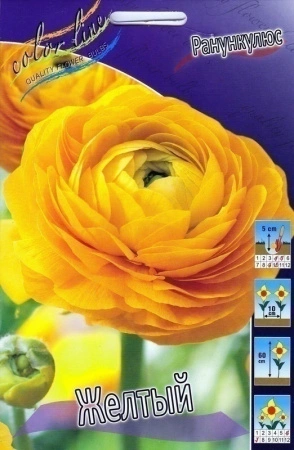 a6c1c2c6-ca4c-11e0-ab72-00500454e615-2