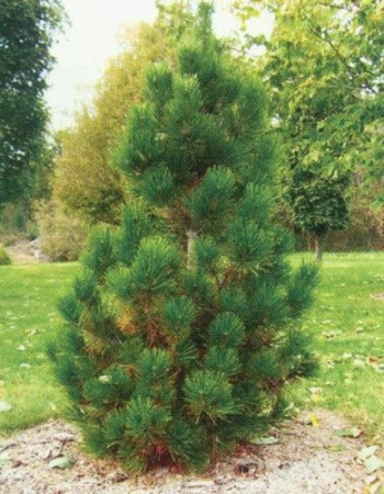 e70947f5-30ae-11f0-8918-246e9611e8f6-1