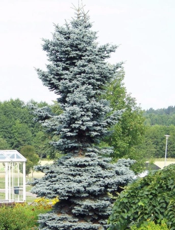 0f25a51b-c118-11ef-8915-246e9611e8f5-1