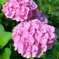 e848804c-bd43-11e3-aae1-001e673ebde8-1