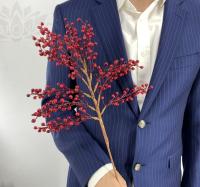 3366f917-cab6-11f0-891e-246e9611e8f6-1