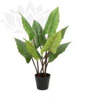 e2d70e48-cab8-11f0-891e-246e9611e8f6-1