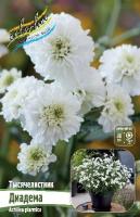 f8824492-67bb-11ed-bd4c-001e673ebdea-1