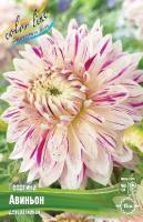 f8ab3cb5-5934-11e1-960d-00500454e615-1