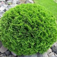 9205ef76-dc28-11ed-97e3-001e673ebdea-1