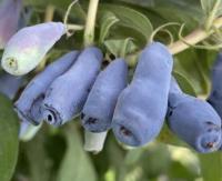 fac95316-b8b4-11f0-891d-246e9611e8f7-1