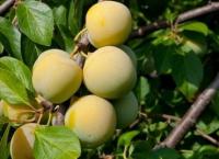 f9246389-55b0-11f0-891a-246e9611e8f6-1