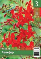 c259e95a-278c-11df-882b-0019dbe91ea3-1