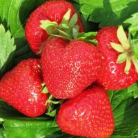 bdaedce0-4150-11f0-8919-246e9611e8f7-1