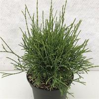 9b9d2323-d410-11ef-8915-246e9611e8f5-1