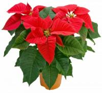 0aff4027-7a2d-11ee-ae0a-001e673ebdea-1