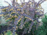 6830de58-349a-11f0-8918-246e9611e8f6-1