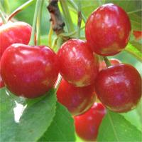 7a9625e0-cc0c-11ef-8915-246e9611e8f5-1