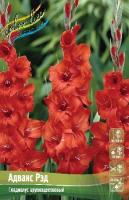 fe82dc19-cf42-11f0-891e-246e9611e8f6-1