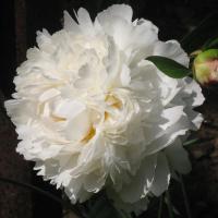 8df4ceb5-0037-11f1-8924-246e9611e8f6-1