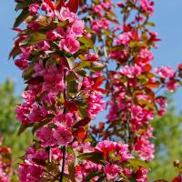 47b0ba25-2fe2-11f0-8918-246e9611e8f6-1