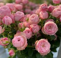 9573546b-df88-11ed-97e3-001e673ebdea-1