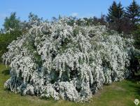 88c34063-1139-11f0-8918-246e9611e8f6-1