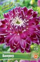 f46f6fcc-2ea6-11e0-9fb4-00500454e615-1