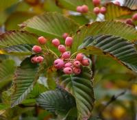 c2c3e916-bae9-11f0-891d-246e9611e8f7-1