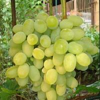 9cc17bda-b89b-11f0-891d-246e9611e8f7-1