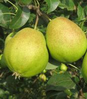 78918c07-cc0b-11ef-8915-246e9611e8f5-1